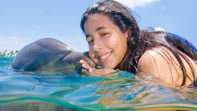Dolphin Funtastic